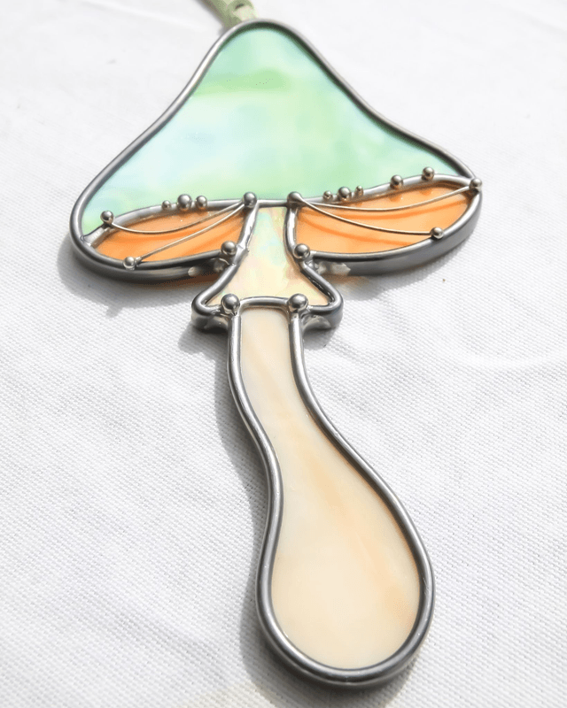 Le champignon magique des visions 