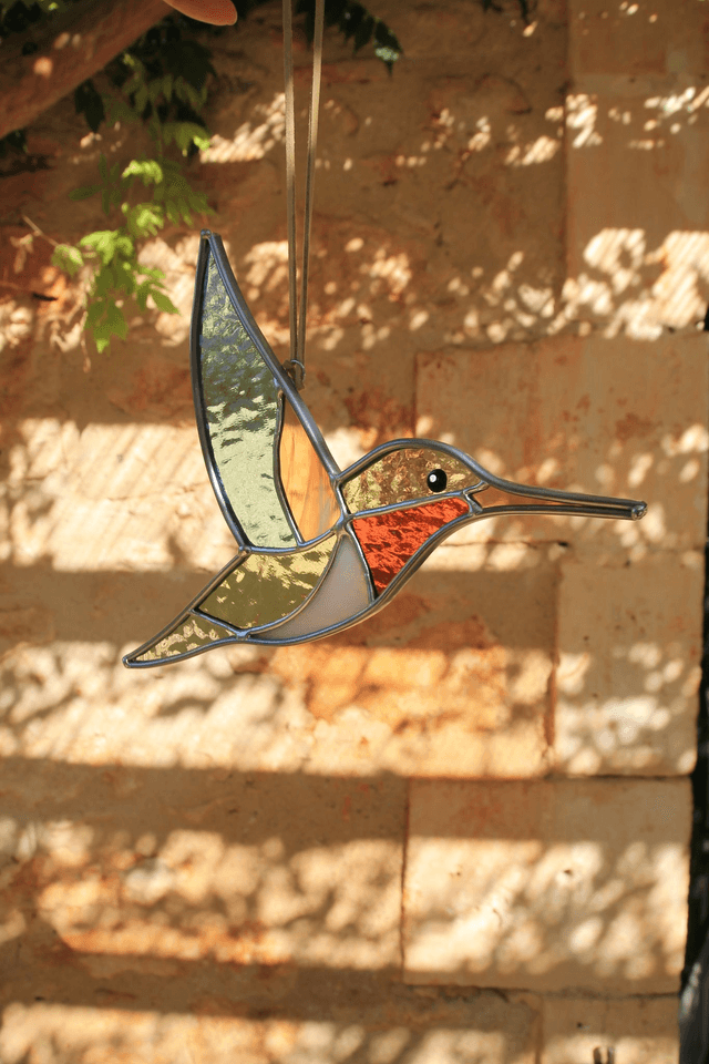 Le colibri de Colombie Britannique 