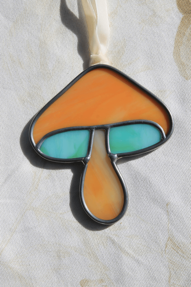 Le petit champignon corail 