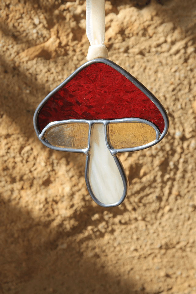 Le petit champignon grenat 
