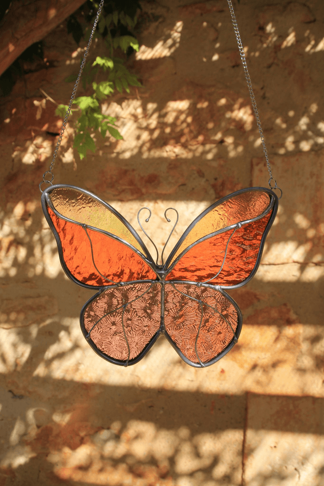 Le petit papillon du soleil couchant 