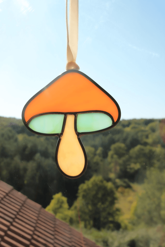 Le petit champignon corail 
