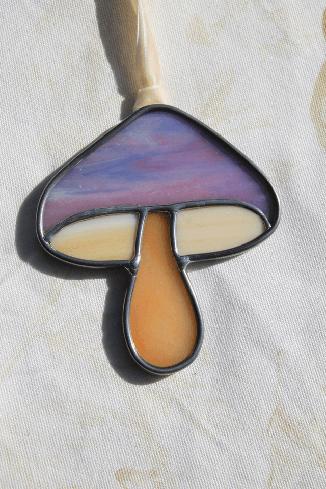 Le petit champignon lavande 