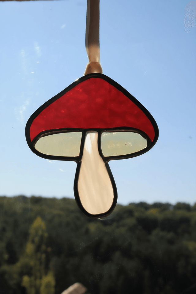 Le petit champignon grenat 