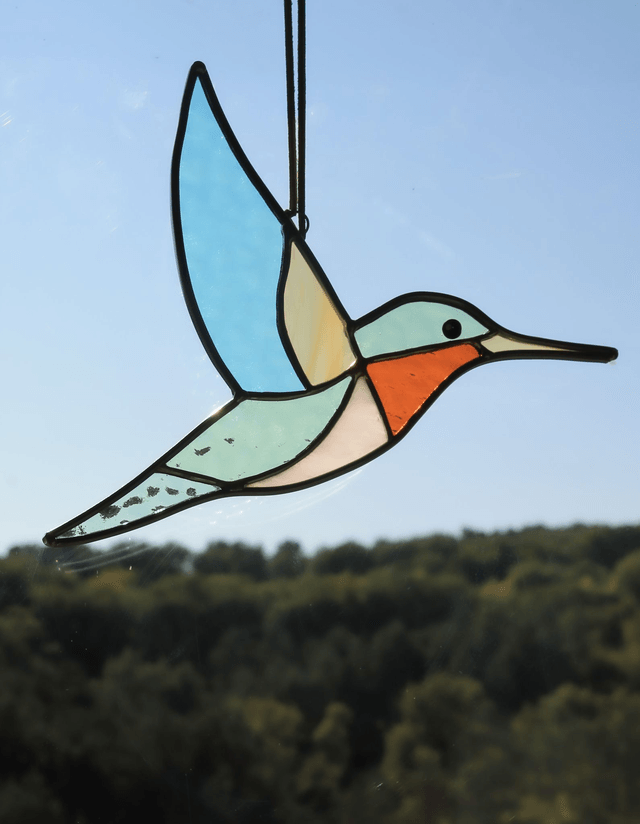 Le colibri de Colombie Britannique 
