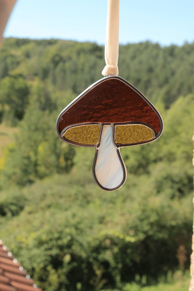Le petit champignon ambre  