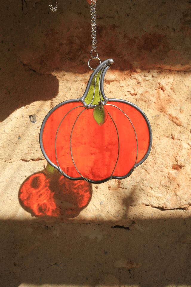 La petite citrouille d’Argia 