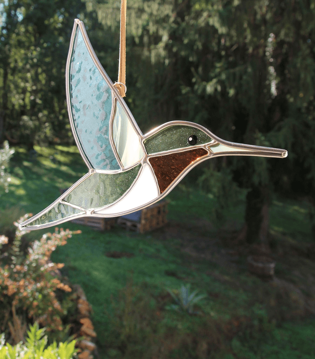 Le colibri de Colombie Britannique 