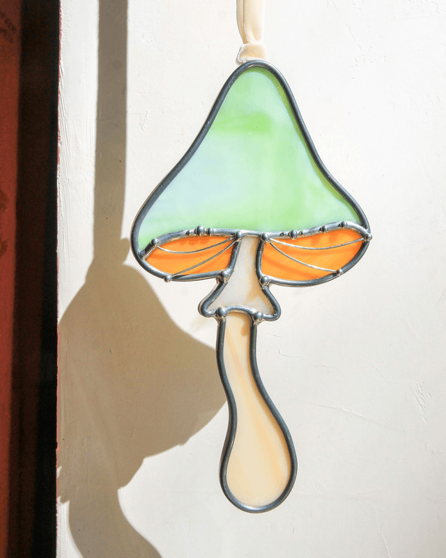 Le champignon magique des visions 