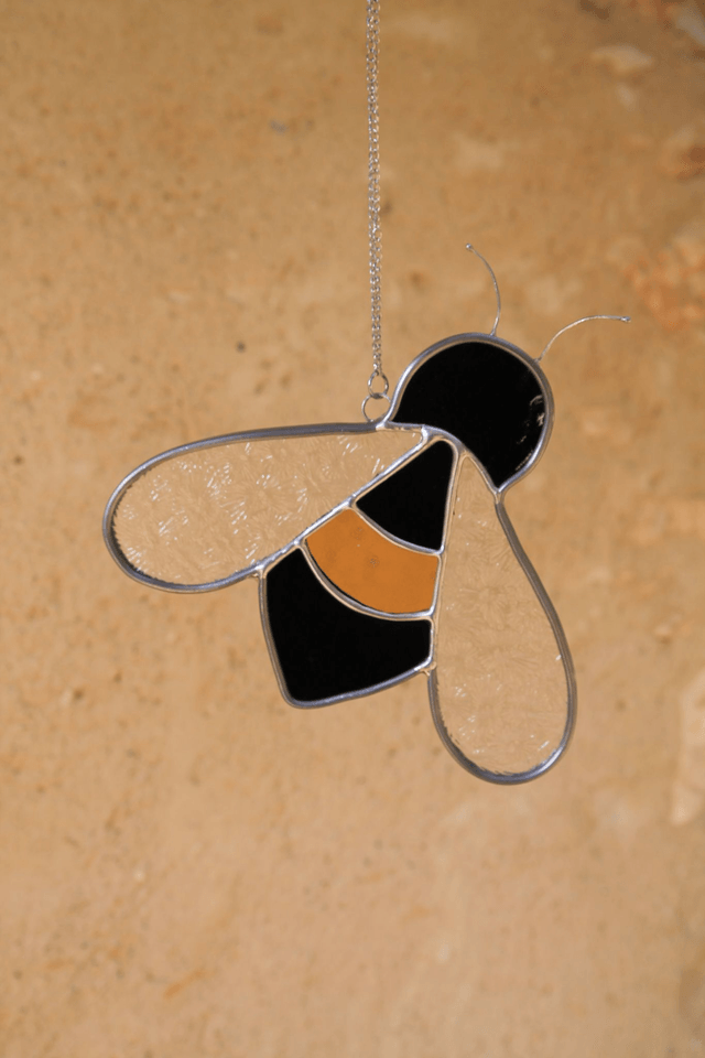 Cassandre l’abeille noire 
