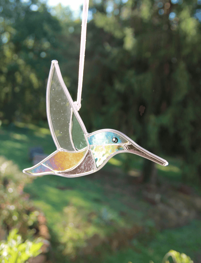 Le colibri de Patagonie 