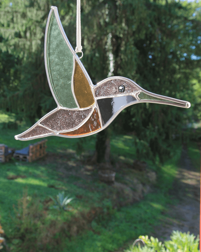 Le colibri des Andes 
