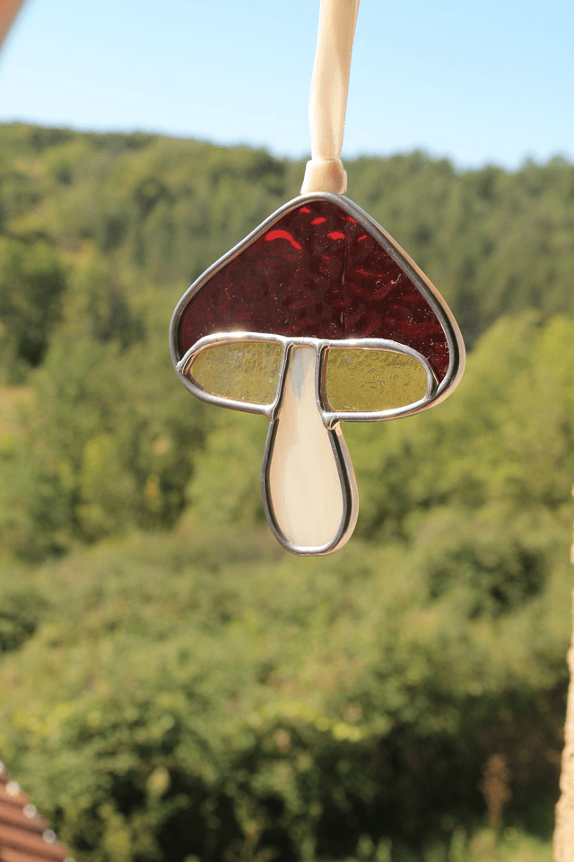 Le petit champignon grenat 