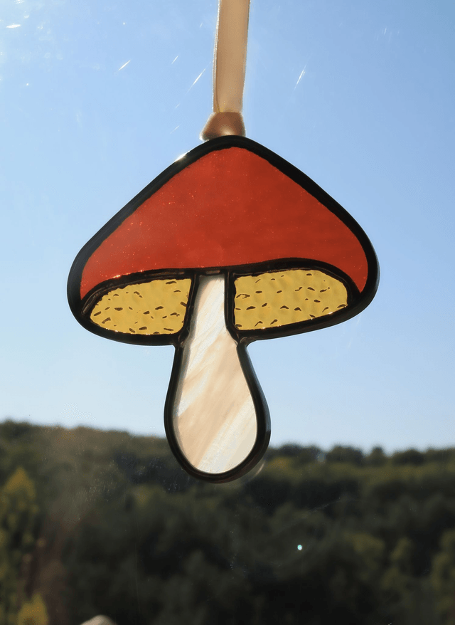 Le petit champignon ambre  