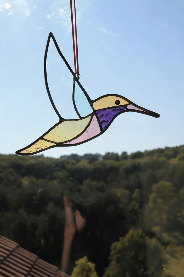 Le colibri de Patagonie 