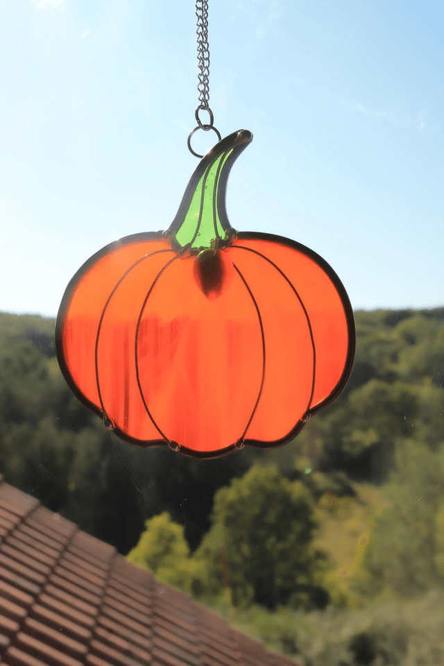 La petite citrouille d’Argia 