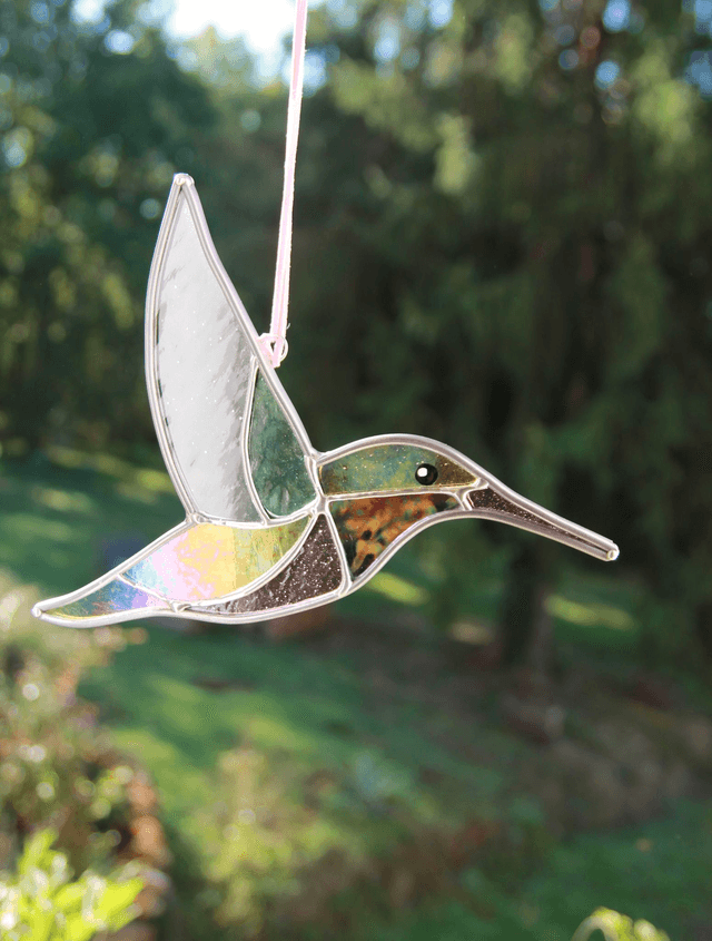 Le colibri de Patagonie 