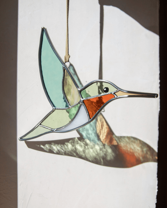 Le colibri de Colombie Britannique 