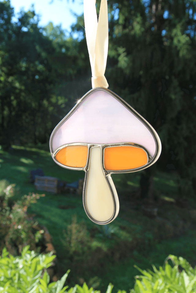 Le petit champignon améthyste 