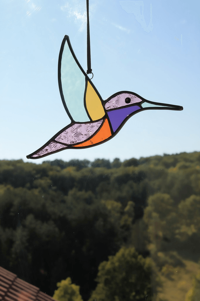 Le colibri des Andes 