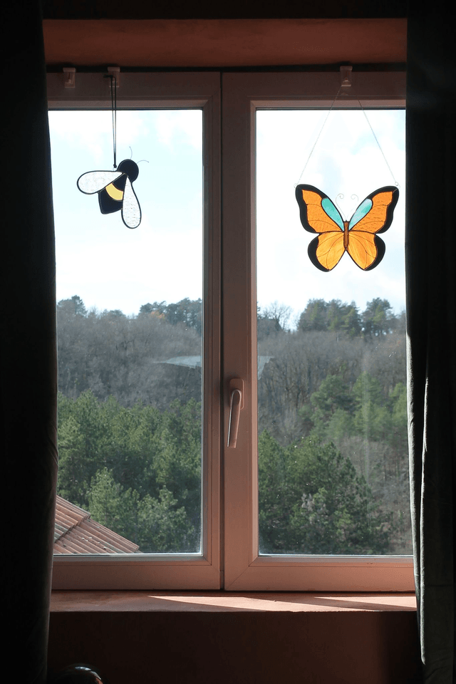 Cassandre l’abeille noire 