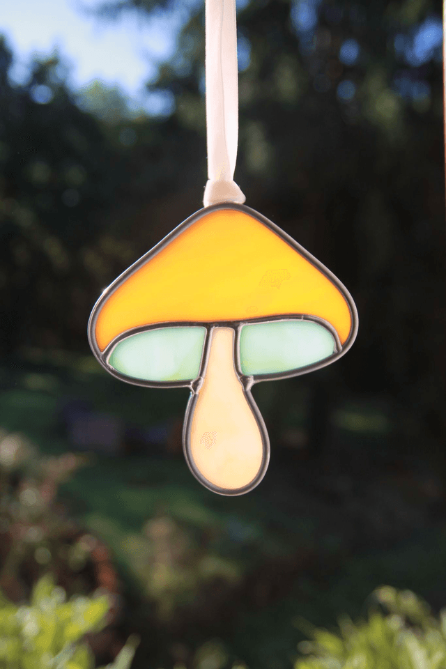 Le petit champignon corail 