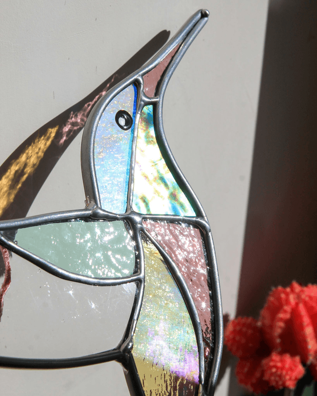 Le colibri de Patagonie 