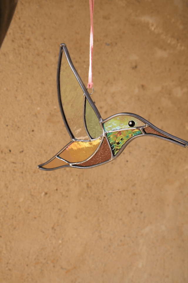 Le colibri de Patagonie 