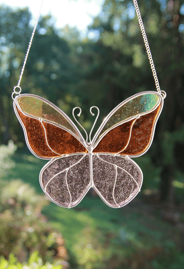 Le petit papillon du soleil couchant 