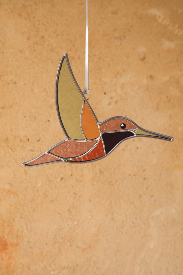 Le colibri des Andes 