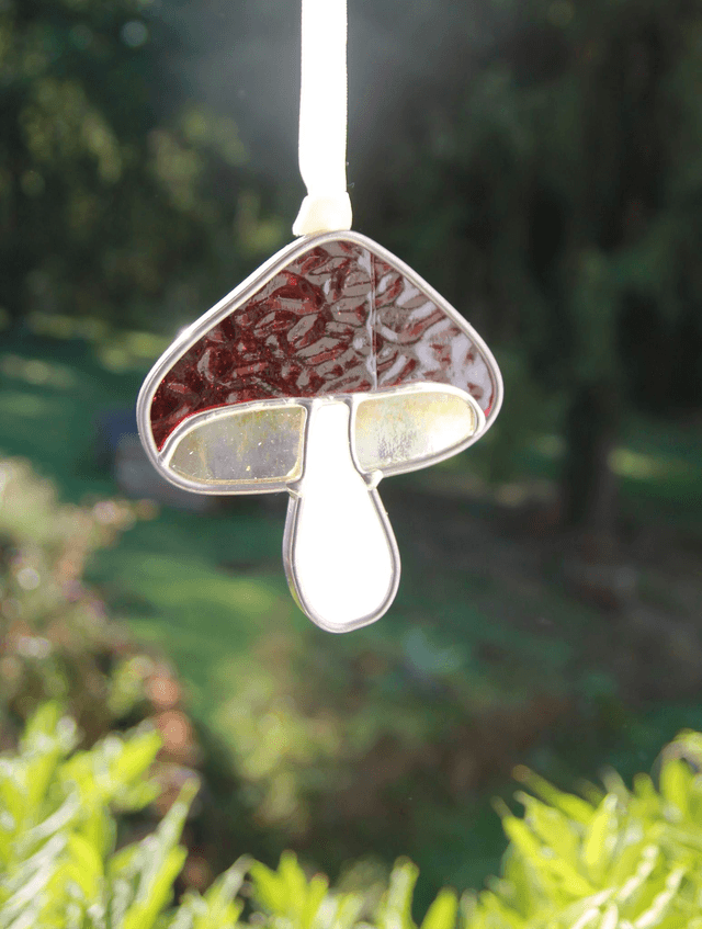 Le petit champignon grenat 