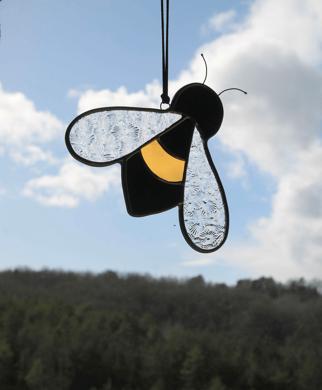 Cassandre l’abeille noire 
