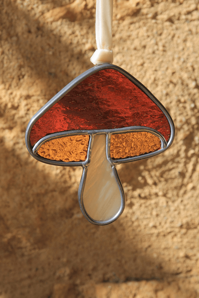 Le petit champignon ambre  