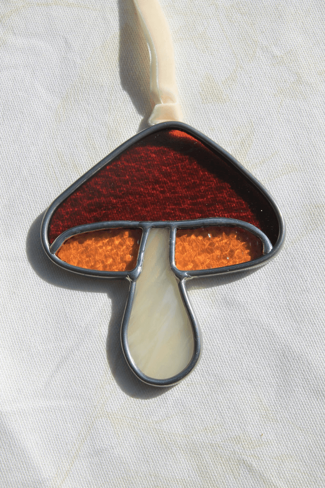 Le petit champignon ambre  