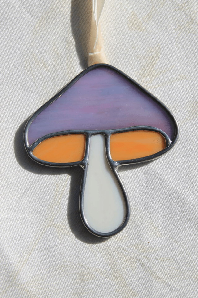 Le petit champignon améthyste 