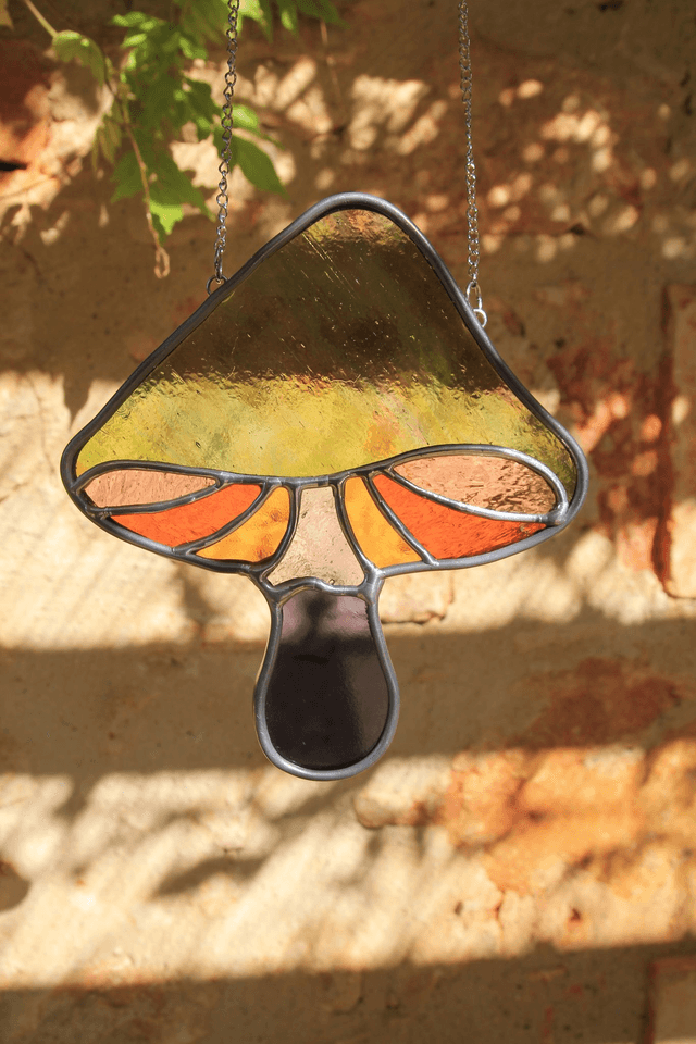 Le champignon groovy 