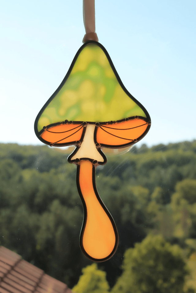 Le champignon magique des visions 