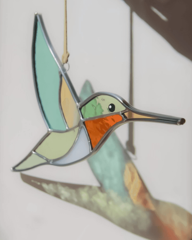 Le colibri de Colombie Britannique 