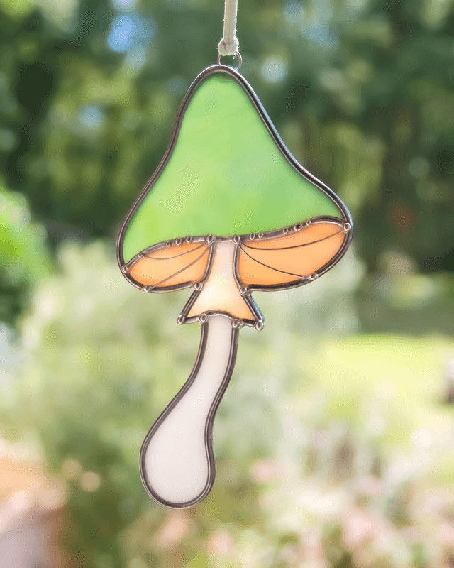 Le champignon magique des vertiges 