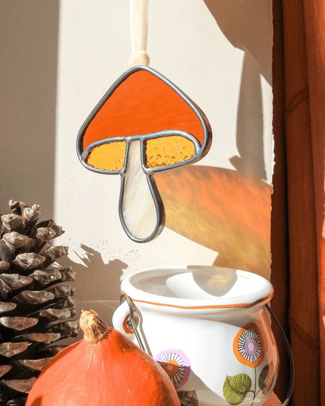 Le petit champignon ambre  