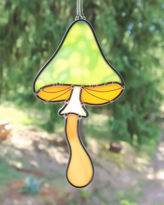 Le champignon magique des visions 
